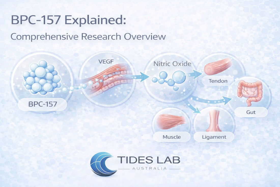 BPC-157 peptide mechanism showing VEGF-driven angiogenesis, nitric oxide signalling, and tissue repair pathways affecting tendons, muscles, and ligaments.