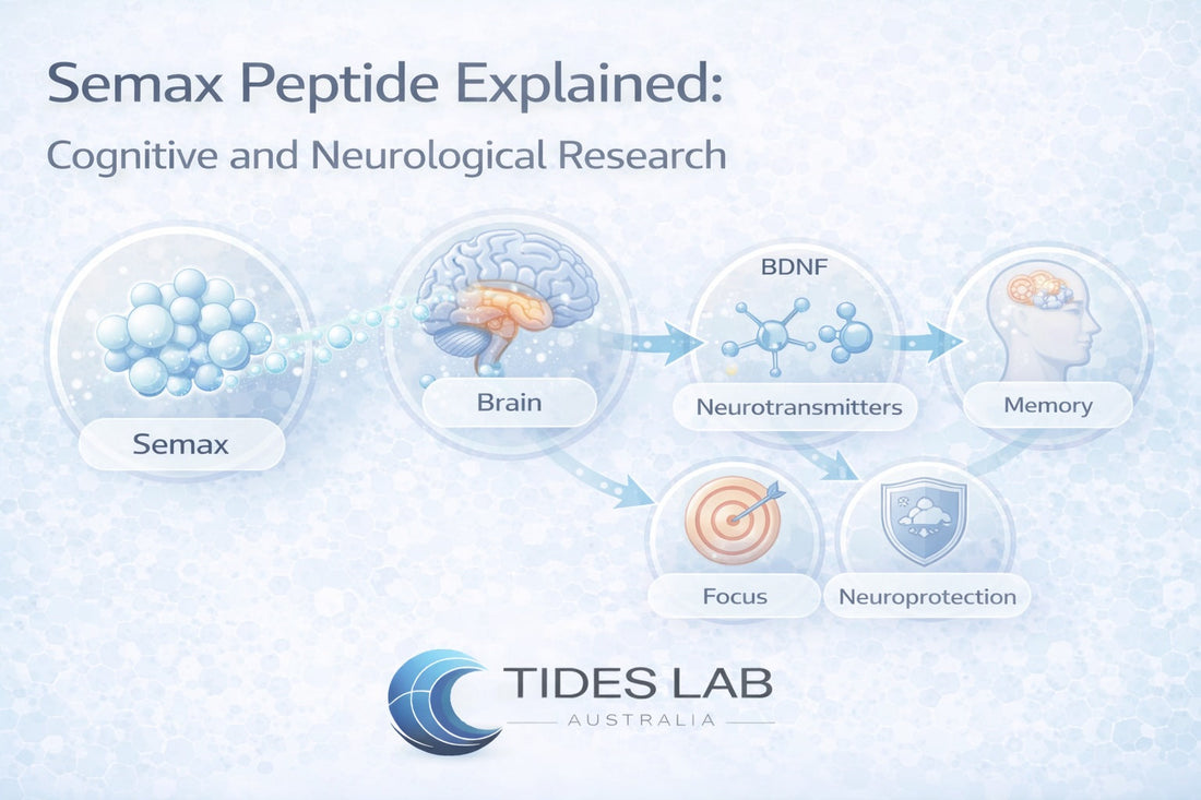 Semax is a synthetic peptide studied for its effects on BDNF signalling, neurotransmitters, and cognitive function. Learn the science behind this neurological research peptide.